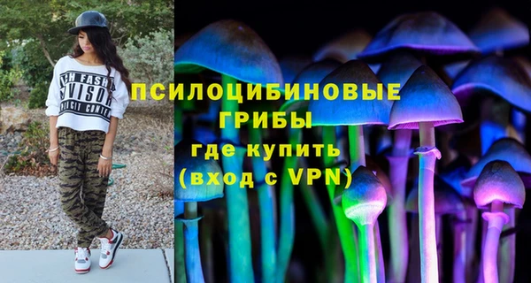 дурь Горнозаводск
