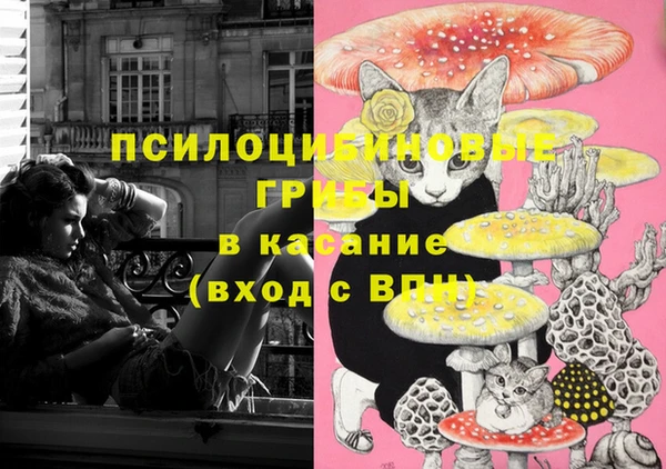 герыч Вяземский