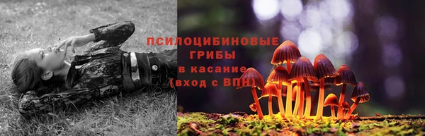 экстази Горно-Алтайск